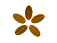 筋膜槍發熱(rè)片